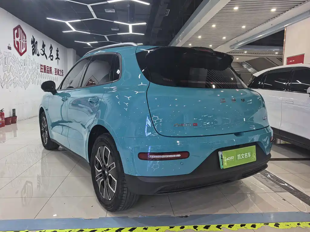 Ora Ora 5 EV — миниатюра 6