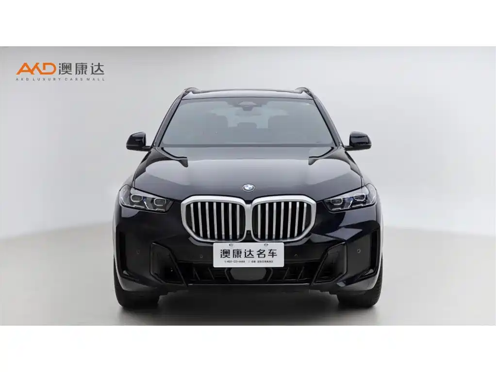 BMW X5 — миниатюра 2