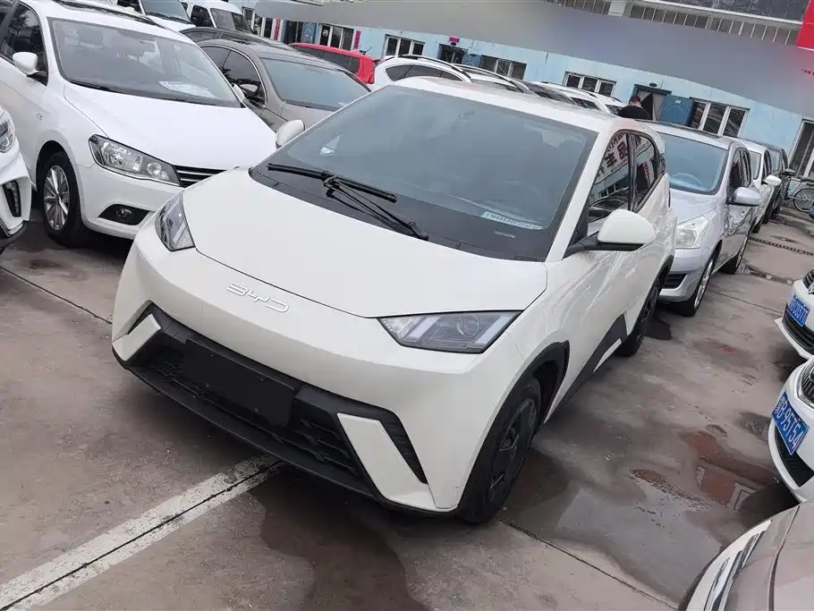Byd Seagull 2023