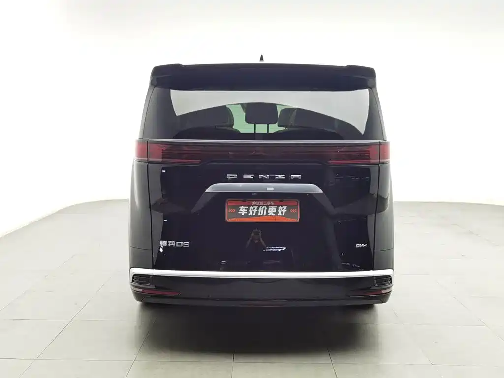 Denza Denza D9 — миниатюра 4