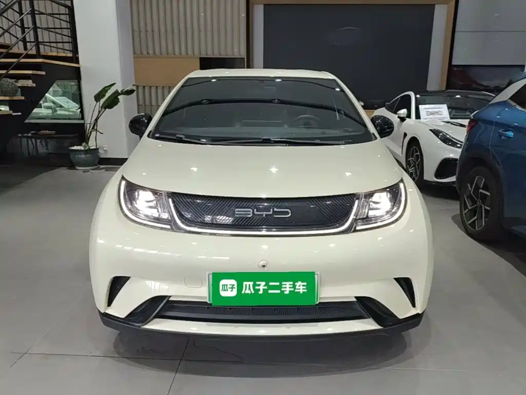 BYD Dolphin — миниатюра 3
