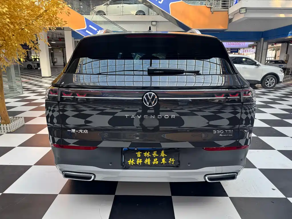 Volkswagen Tavendor — миниатюра 5