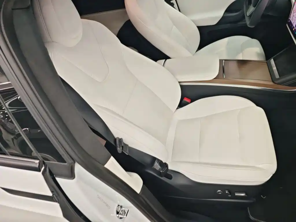 Tesla Model X — миниатюра 25