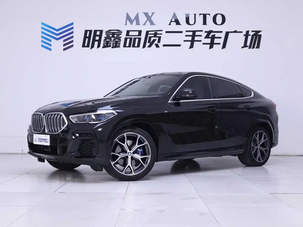 BMW X6 — миниатюра 2