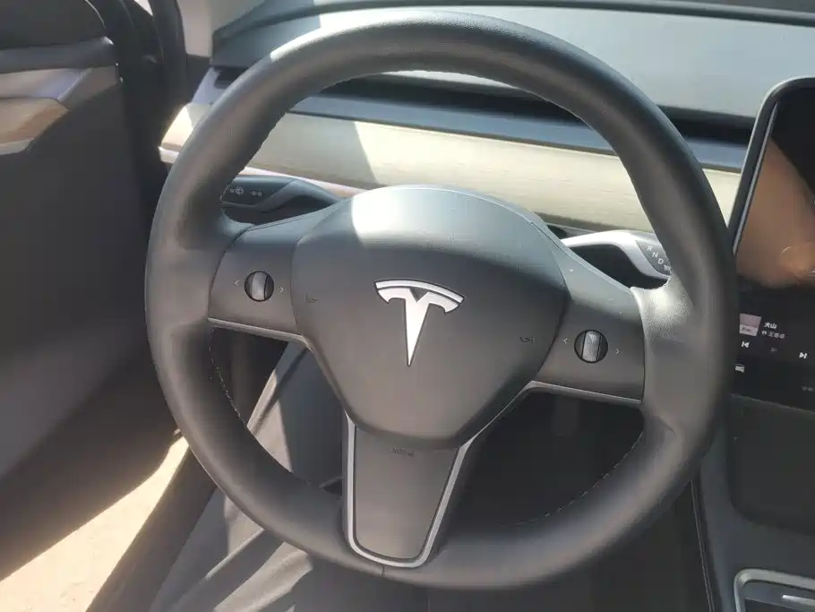 Tesla Model Y — миниатюра 15