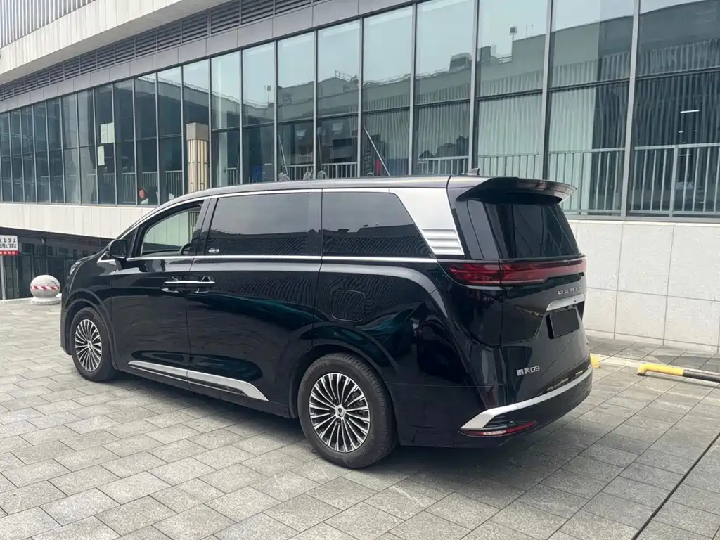 Denza Denza D9 — миниатюра 9