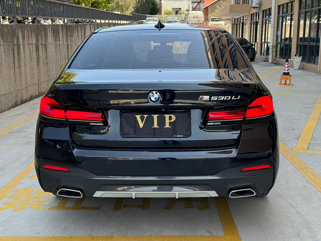 BMW 5 Series — миниатюра 5