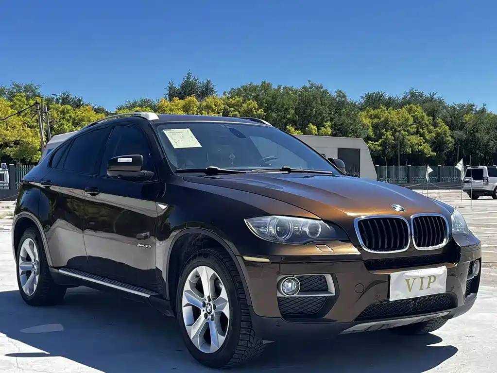 BMW X6 — миниатюра 7