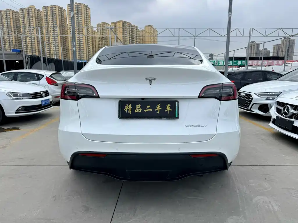 Tesla Model Y — миниатюра 6