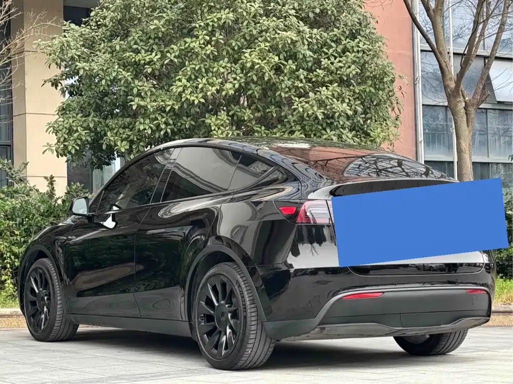 Tesla Model Y — миниатюра 9