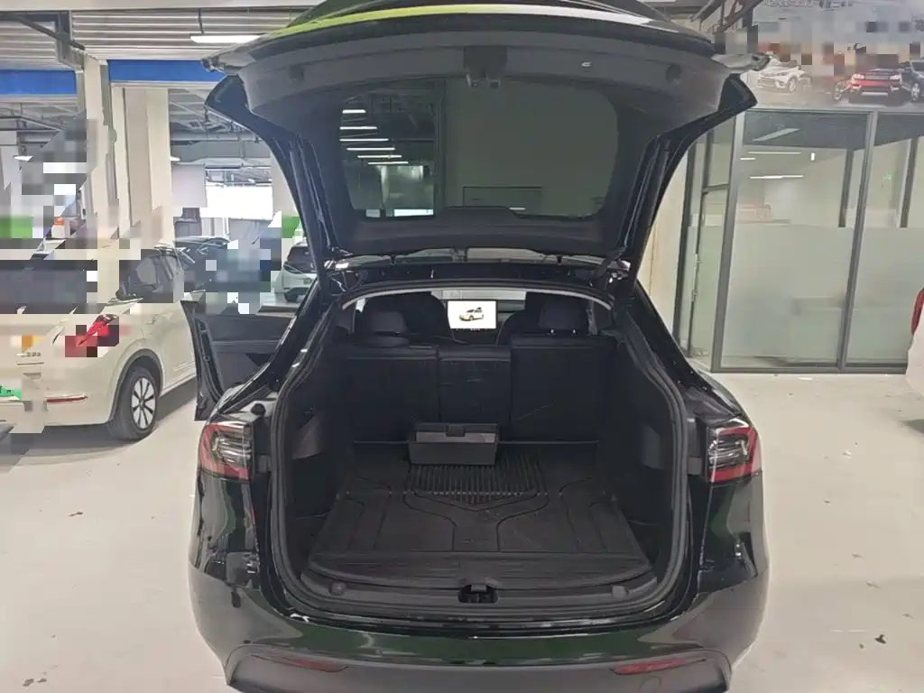 Tesla Model Y — миниатюра 19