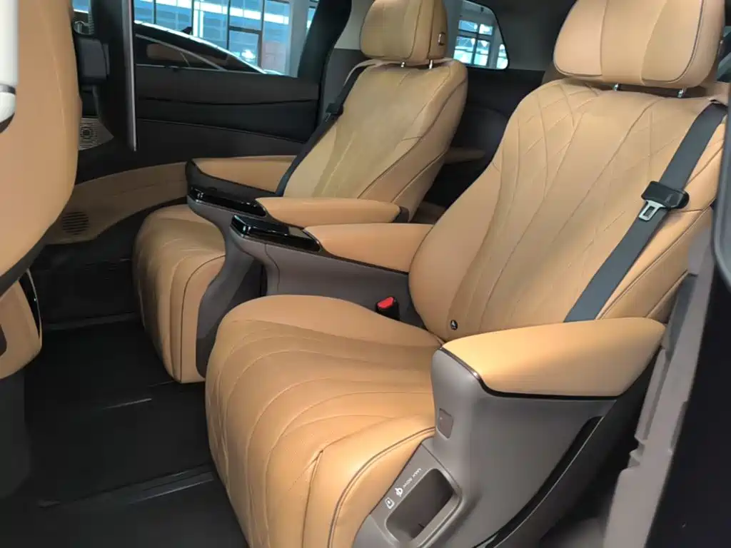 Denza Denza D9 — миниатюра 17