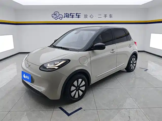 WULING AUTOMOBILE WULING BINGGUO 2024