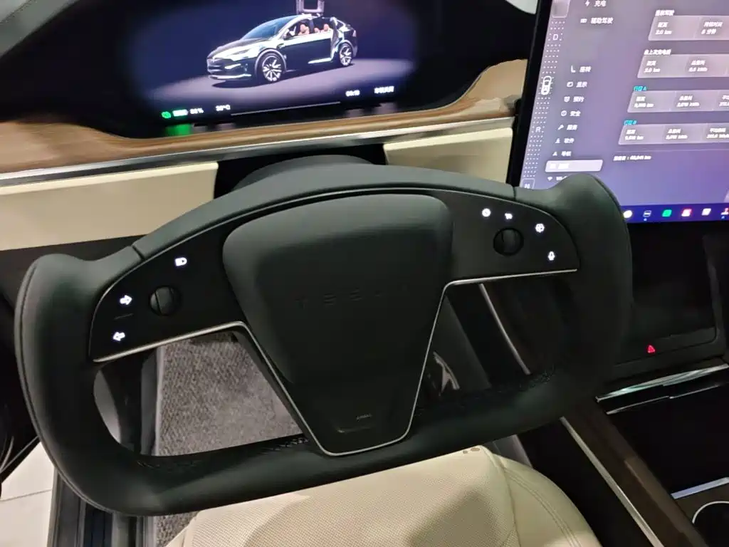 Tesla Model X — миниатюра 11