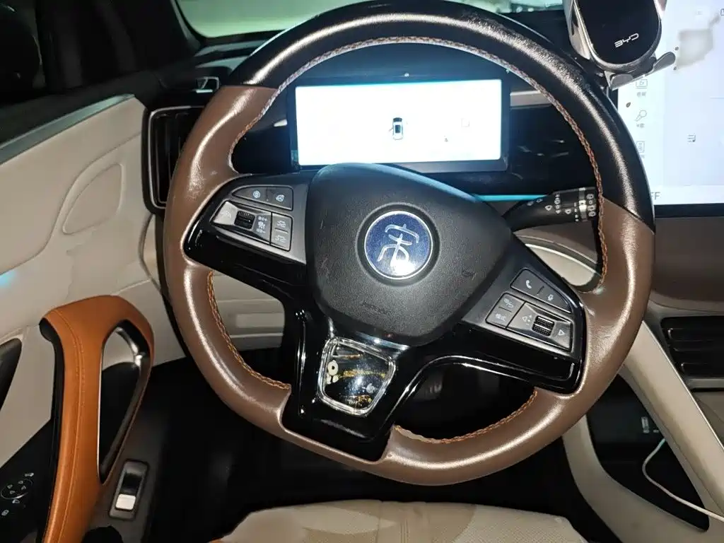 BYD Pro New Energy — миниатюра 3