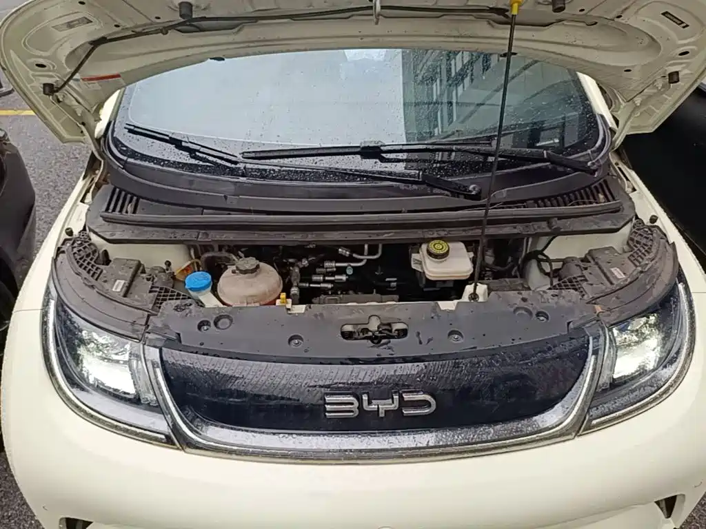 BYD Dolphin — миниатюра 20