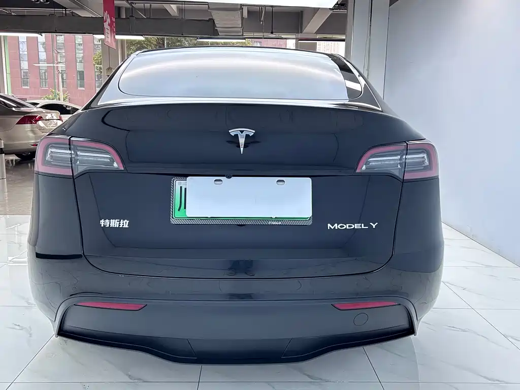 Tesla Model Y — миниатюра 6