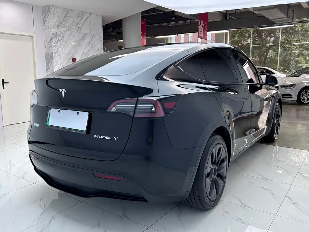 Tesla Model Y — миниатюра 7