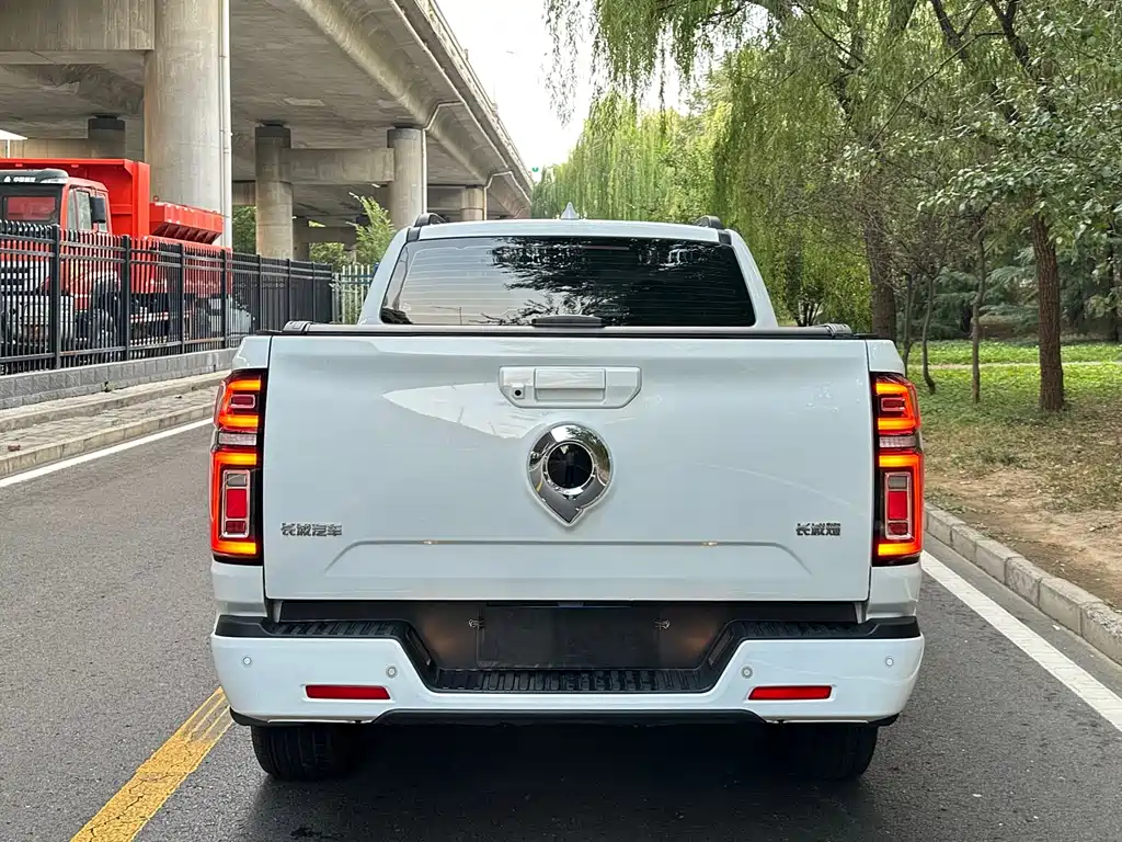 Great Wall Pao — миниатюра 9