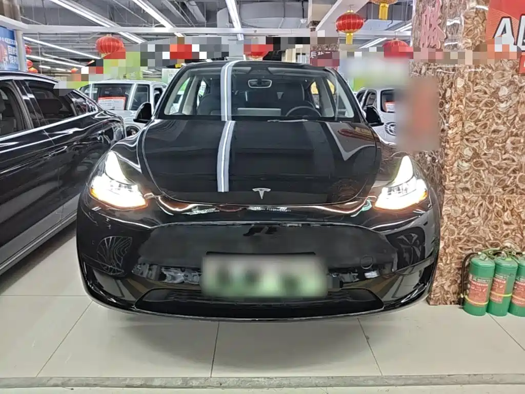 Tesla Model Y — миниатюра 3