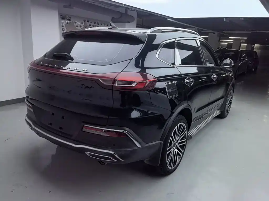 Leopaard Mattu — миниатюра 7