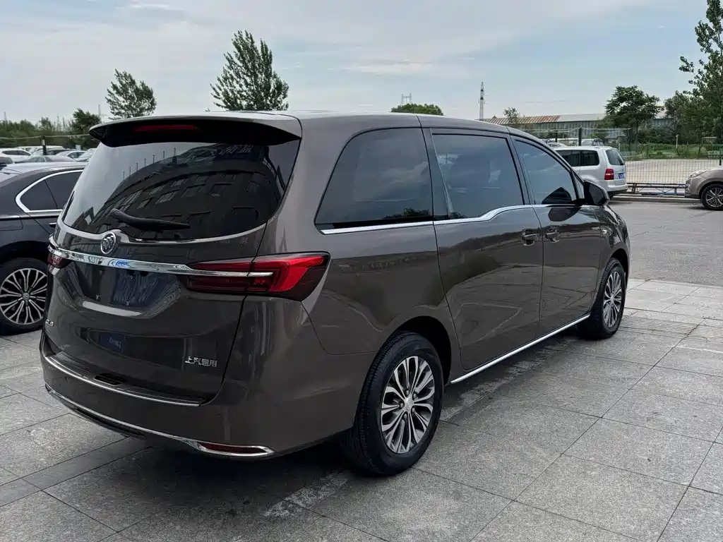 Buick GL8 — миниатюра 12