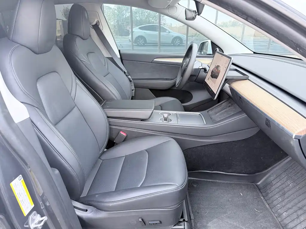 Tesla Model Y — миниатюра 9