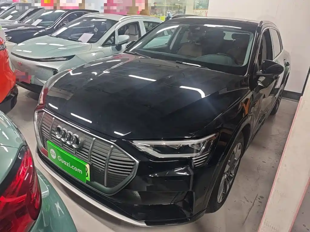 Audi e-tron (Import) — миниатюра 2