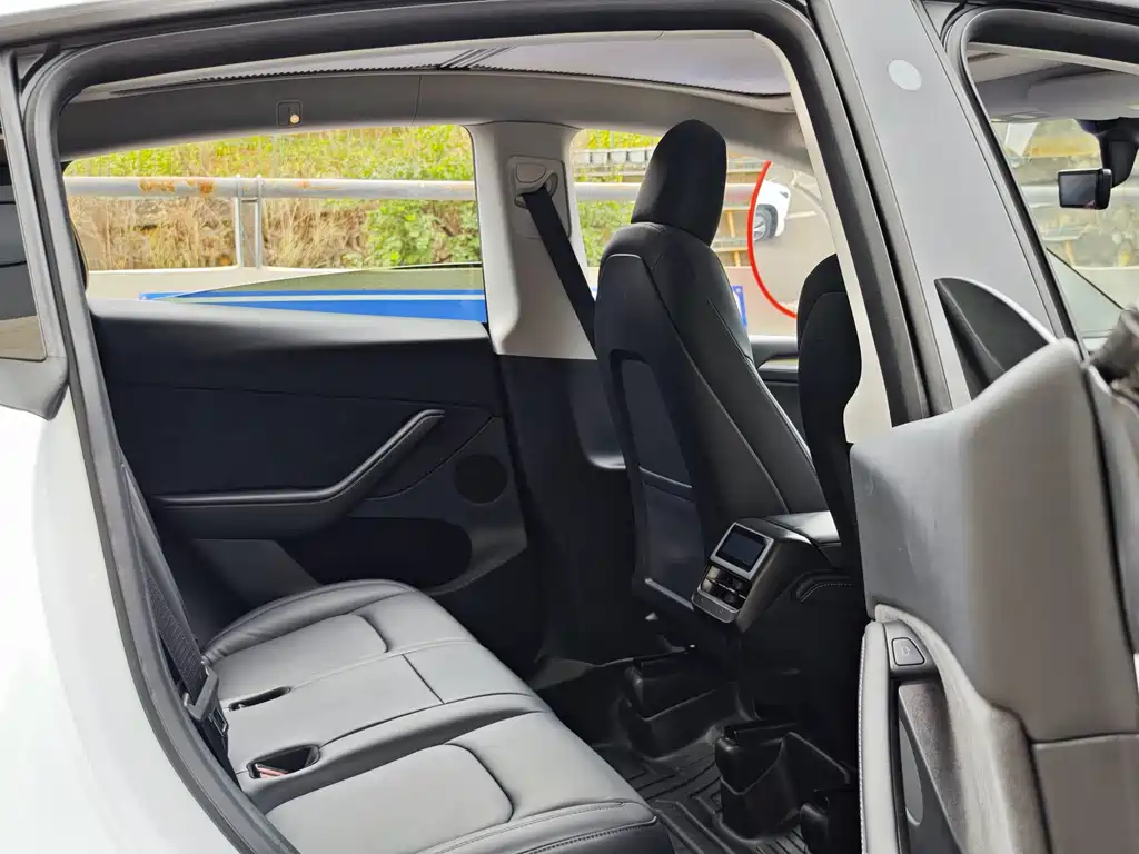 Tesla Model Y — миниатюра 9