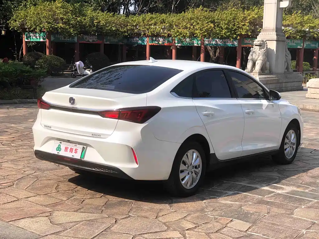 CHANGAN YIDONG NEW ENERGY