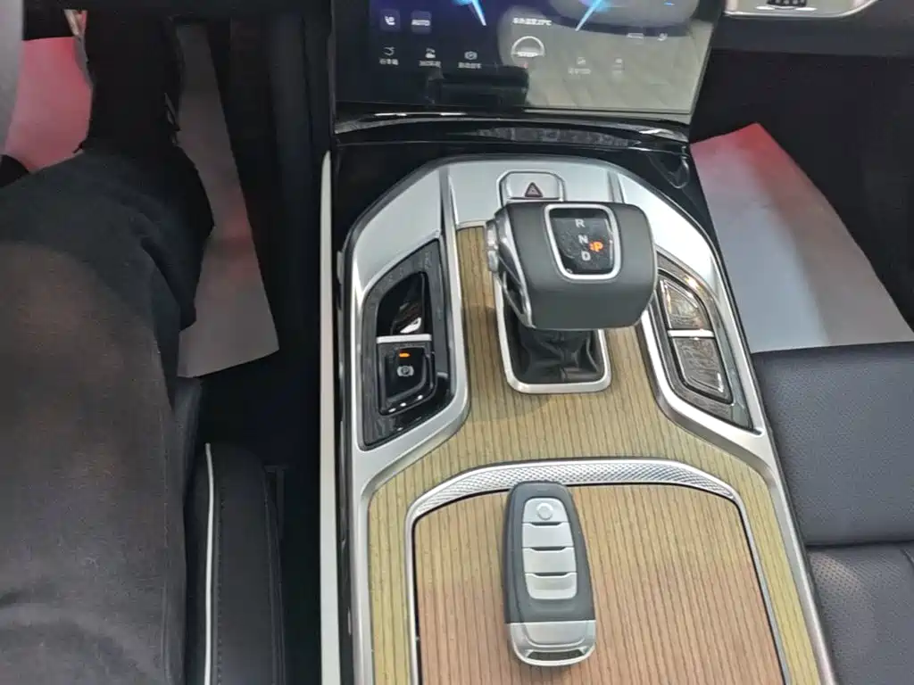 Hongqi Hongqi E-HS9 — миниатюра 14