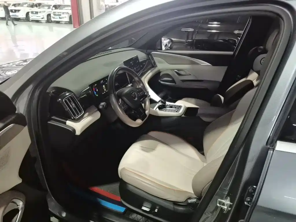 BYD Pro New Energy — миниатюра 15