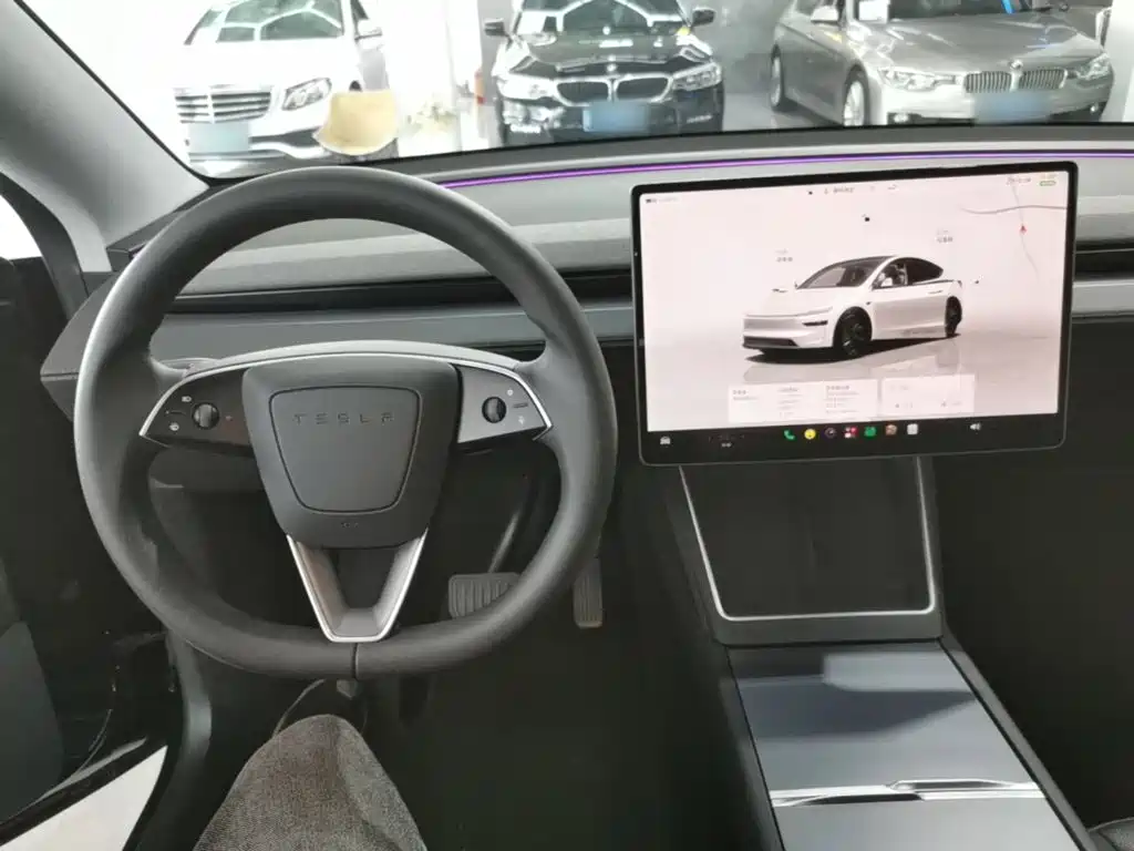 Tesla Model Y — миниатюра 10
