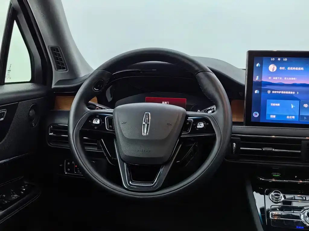 Lincoln Corsair 2.0T 4WD Premium Shine Edition, фото 25