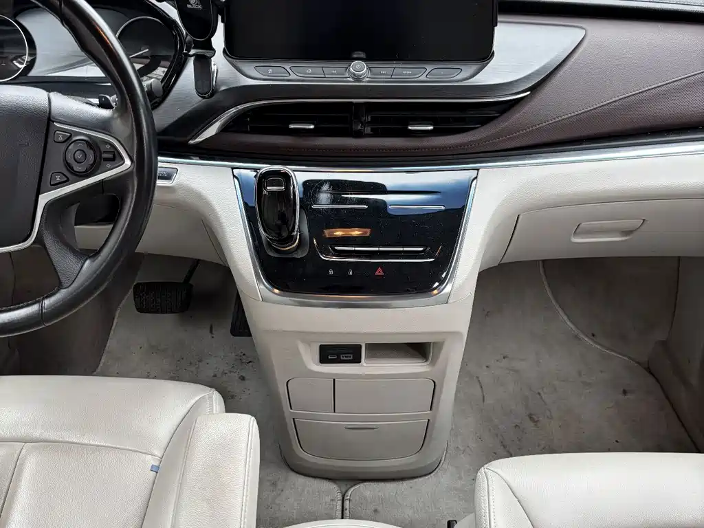 Buick GL8 — миниатюра 14