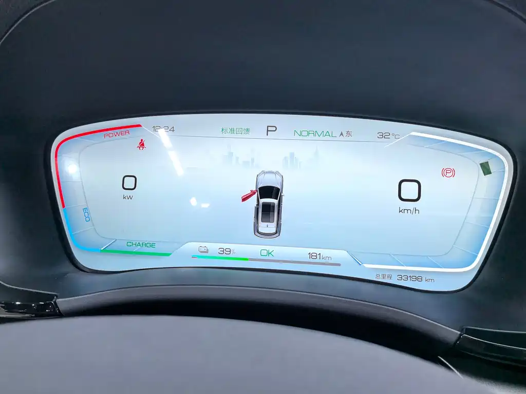 BYD PLUS New Energy — миниатюра 19