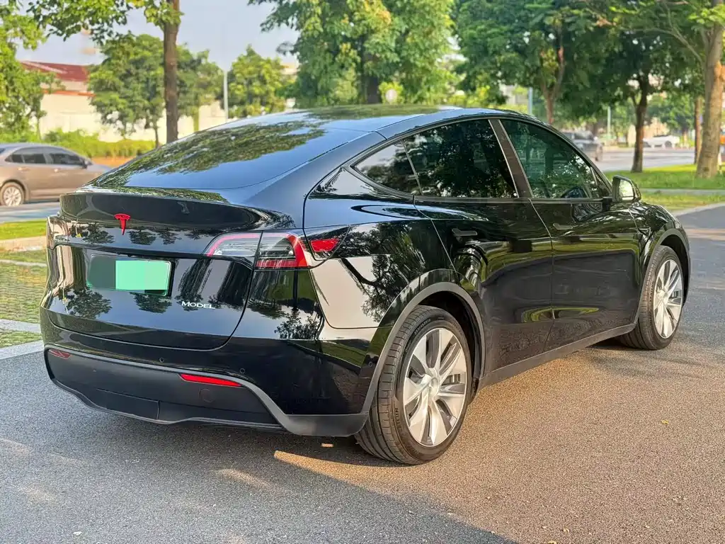 Tesla Model Y — миниатюра 3