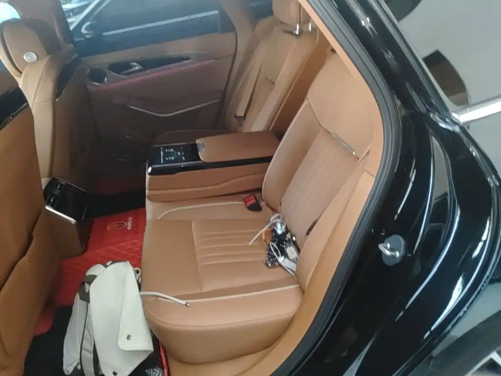 Hongqi Hongqi H9 — миниатюра 17