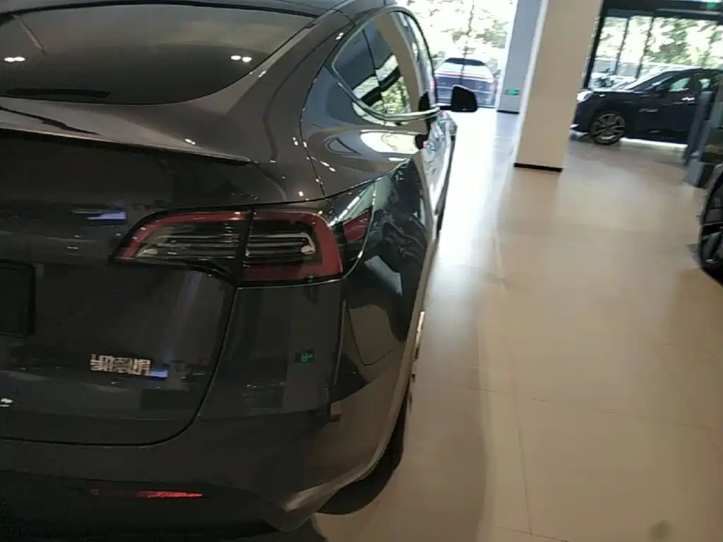 Tesla Model Y — миниатюра 8