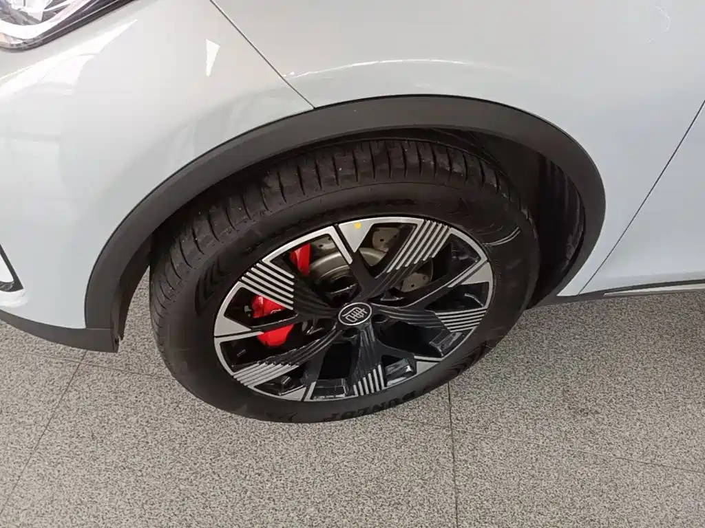 BYD Tang New Energy — миниатюра 23