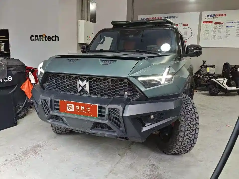 Mengshi Mengshi 917