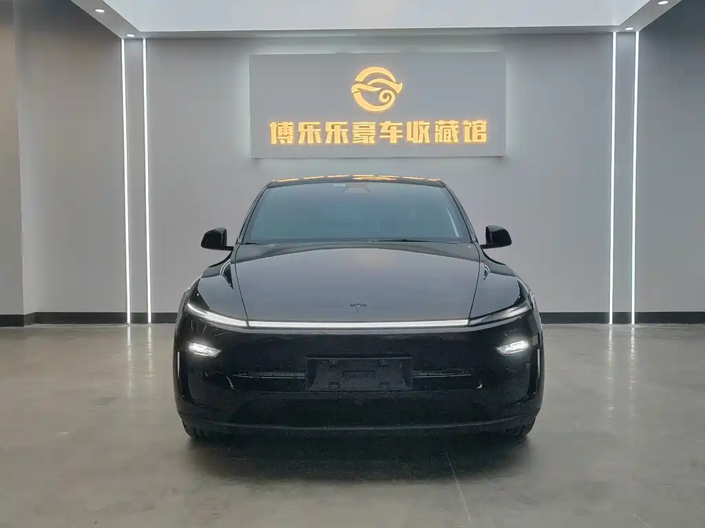 Tesla Model Y — миниатюра 2