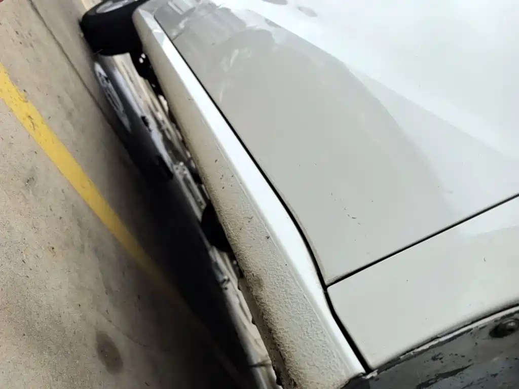 Volkswagen Gran Lavida — миниатюра 21