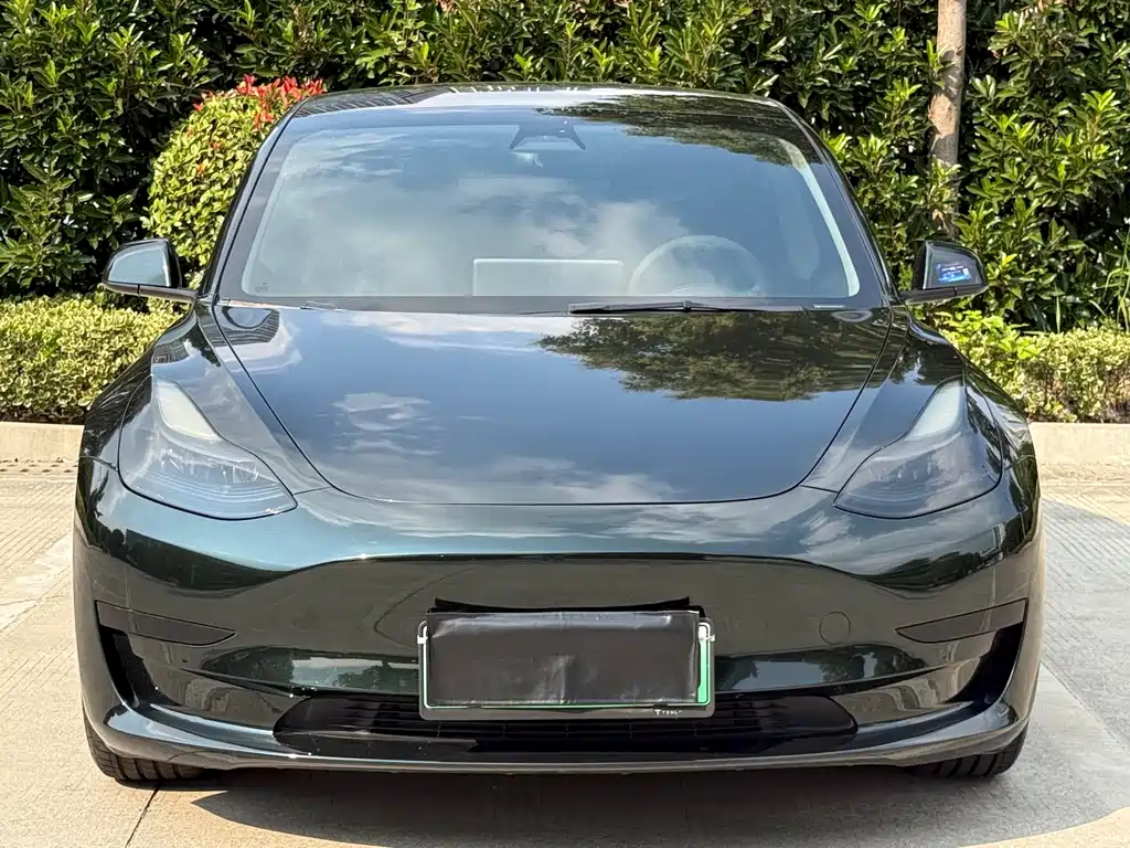 Tesla Model 3 — миниатюра 2