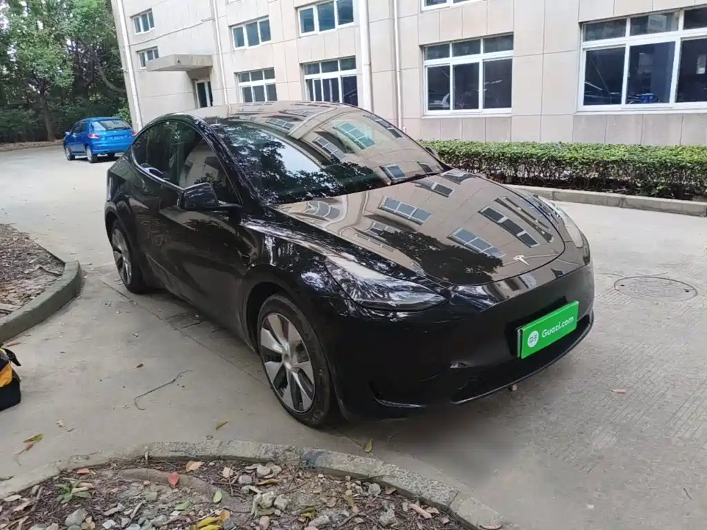 Tesla Model Y — миниатюра 4