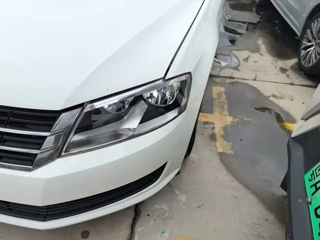 Volkswagen Gran Lavida — миниатюра 24