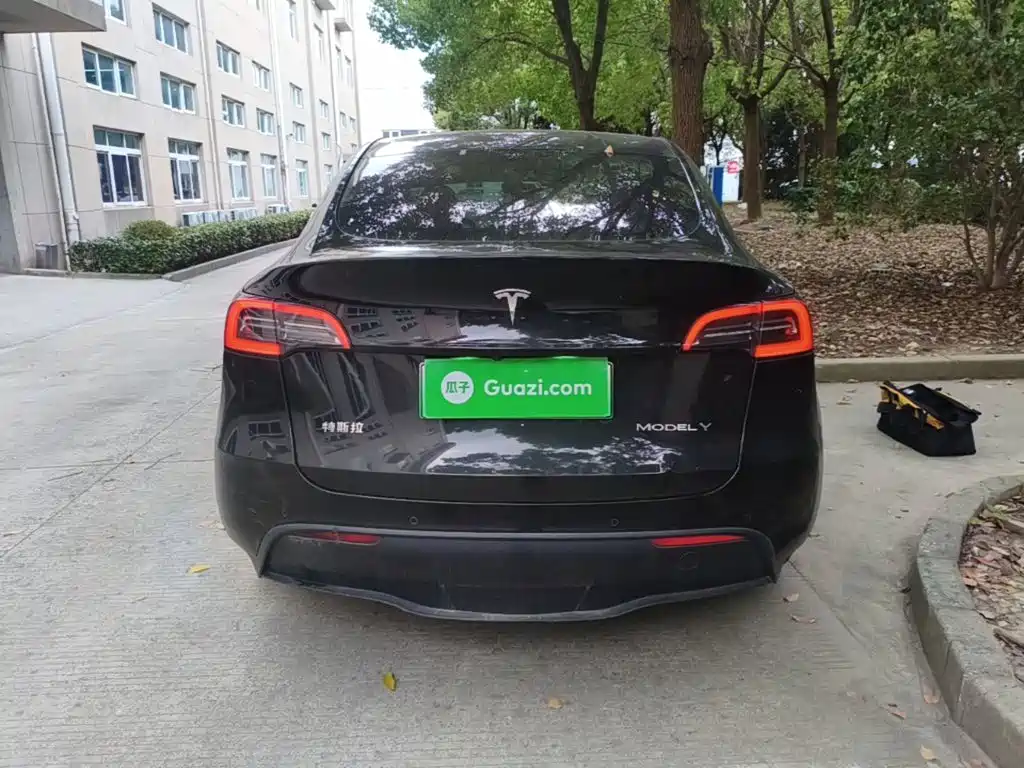 Tesla Model Y — миниатюра 6