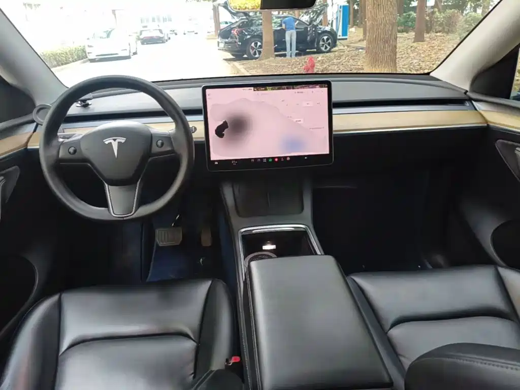 Tesla Model Y — миниатюра 10