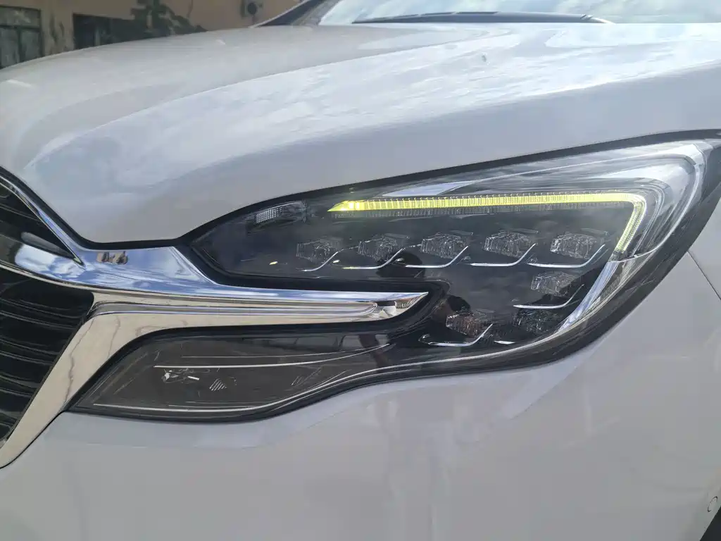 Buick GL8 — миниатюра 33