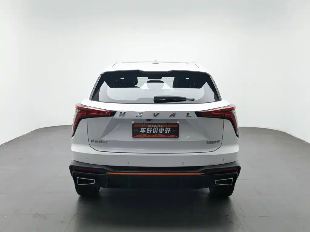Haval Shenshou — миниатюра 4